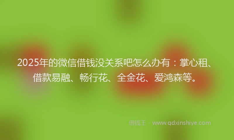 2025年的微信借钱没关系吧怎么办有：掌心租、借款易融、畅行花、全金花、爱鸿森等。