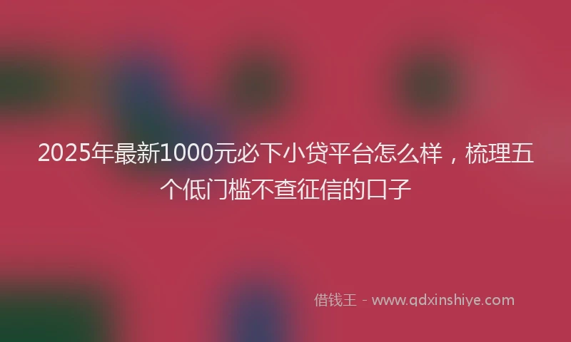 2025年最新1000元必下小贷平台怎么样，梳理五个低门槛不查征信的口子