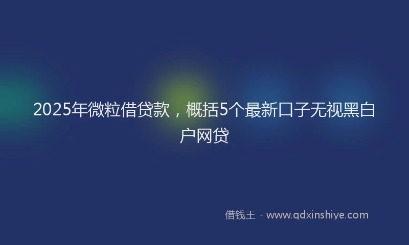 2025年微粒借贷款，概括5个最新口子无视黑白户网贷