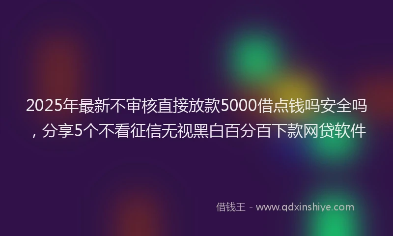 2025年最新不审核直接放款5000借点钱吗安全吗，分享5个不看征信无视黑白百分百下款网贷软件