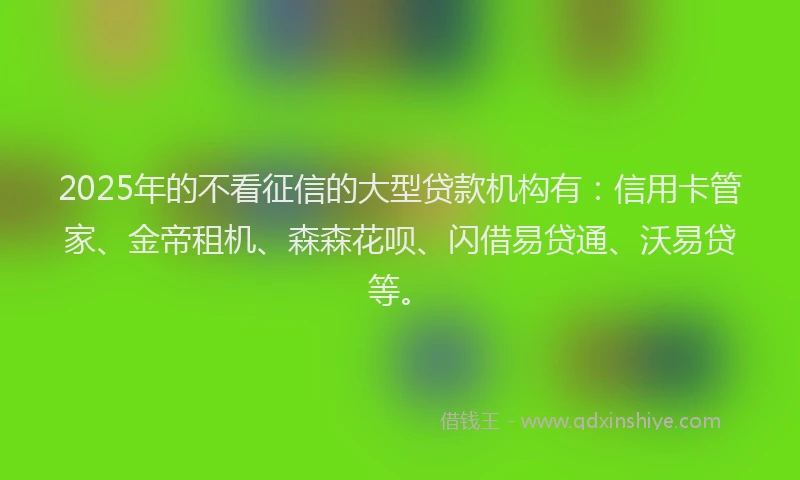 2025年的不看征信的大型贷款机构有：信用卡管家、金帝租机、森森花呗、闪借易贷通、沃易贷等。