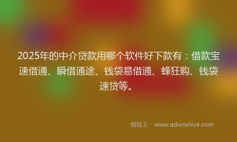 2025年的中介贷款用哪个软件好下款有：借款宝速借通、瞬借通途、钱袋易借通、蜂狂购、钱袋速贷等。