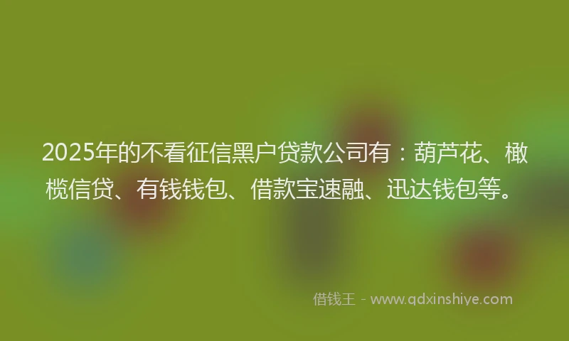 2025年的不看征信黑户贷款公司有：葫芦花、橄榄信贷、有钱钱包、借款宝速融、迅达钱包等。