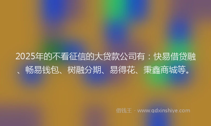 2025年的不看征信的大贷款公司有：快易借贷融、畅易钱包、树融分期、易得花、秉鑫商城等。