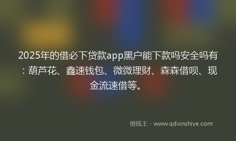 2025年的借必下贷款app黑户能下款吗安全吗有：葫芦花、鑫速钱包、微微理财、森森借呗、现金流速借等。