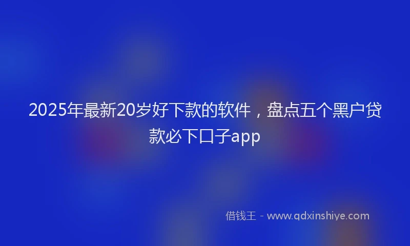 2025年最新20岁好下款的软件，盘点五个黑户贷款必下口子app