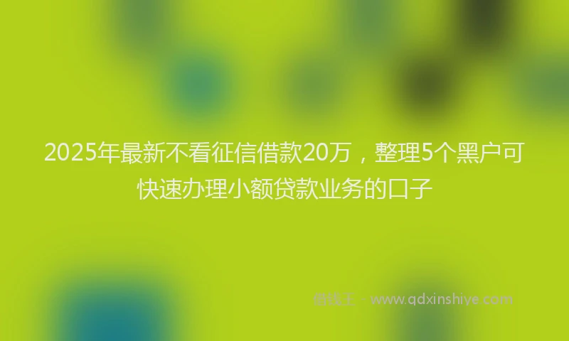 2025年最新不看征信借款20万，整理5个黑户可快速办理小额贷款业务的口子