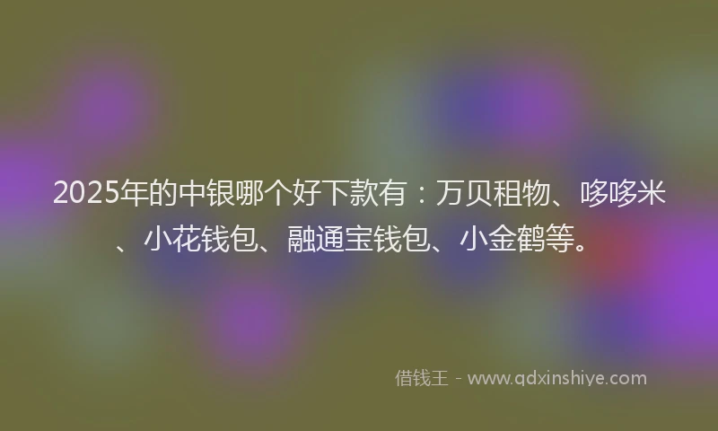 2025年的中银哪个好下款有：万贝租物、哆哆米、小花钱包、融通宝钱包、小金鹤等。