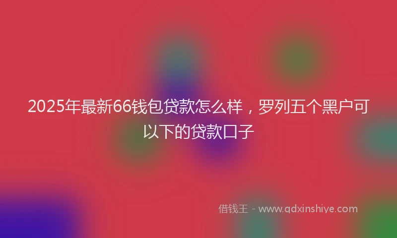 2025年最新66钱包贷款怎么样，罗列五个黑户可以下的贷款口子