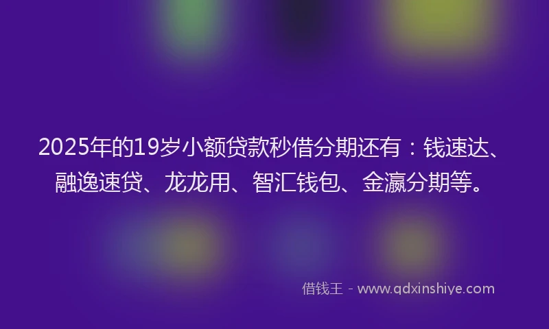 2025年的19岁小额贷款秒借分期还有：钱速达、融逸速贷、龙龙用、智汇钱包、金瀛分期等。