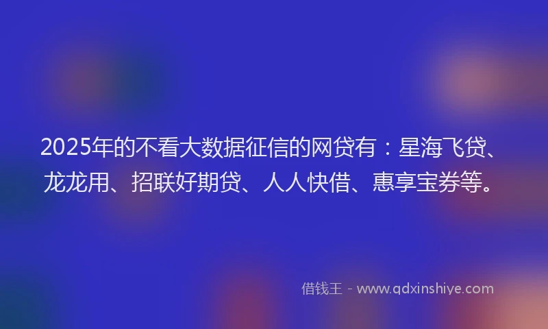 2025年的不看大数据征信的网贷有：星海飞贷、龙龙用、招联好期贷、人人快借、惠享宝券等。