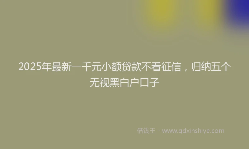 2025年最新一千元小额贷款不看征信，归纳五个无视黑白户口子