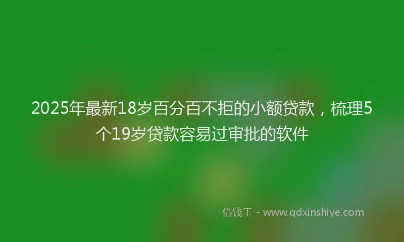 2025年最新18岁百分百不拒的小额贷款，梳理5个19岁贷款容易过审批的软件