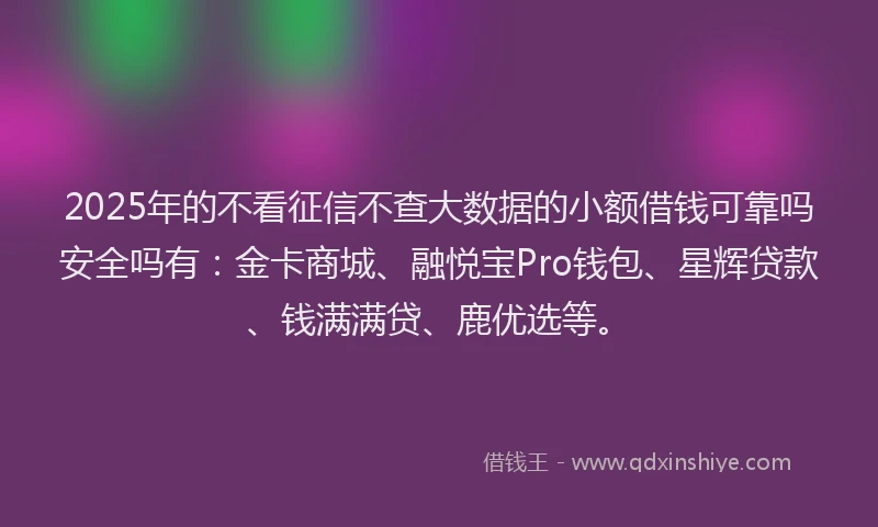 2025年的不看征信不查大数据的小额借钱可靠吗安全吗有：金卡商城、融悦宝Pro钱包、星辉贷款、钱满满贷、鹿优选等。