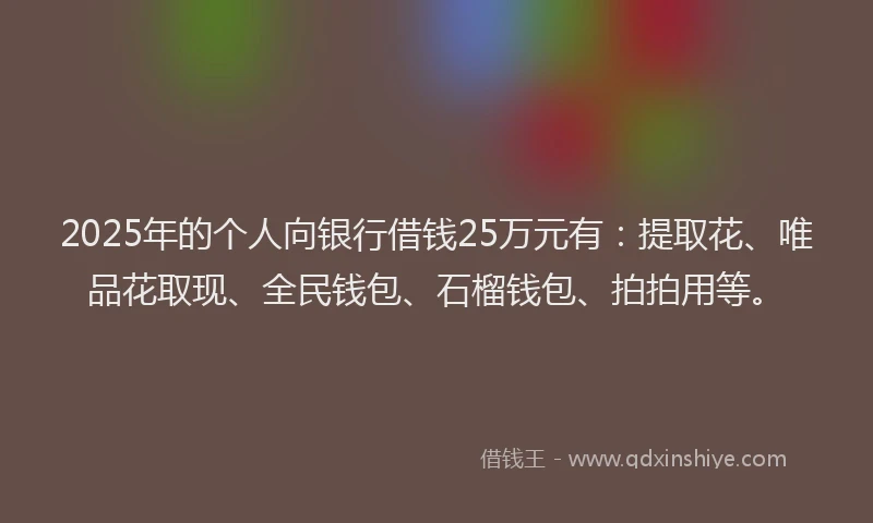 2025年的个人向银行借钱25万元有：提取花、唯品花取现、全民钱包、石榴钱包、拍拍用等。