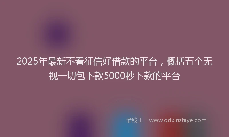 2025年最新不看征信好借款的平台，概括五个无视一切包下款5000秒下款的平台