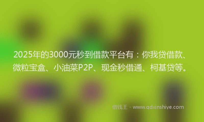 2025年的3000元秒到借款平台有：你我贷借款、微粒宝盒、小油菜P2P、现金秒借通、柯基贷等。