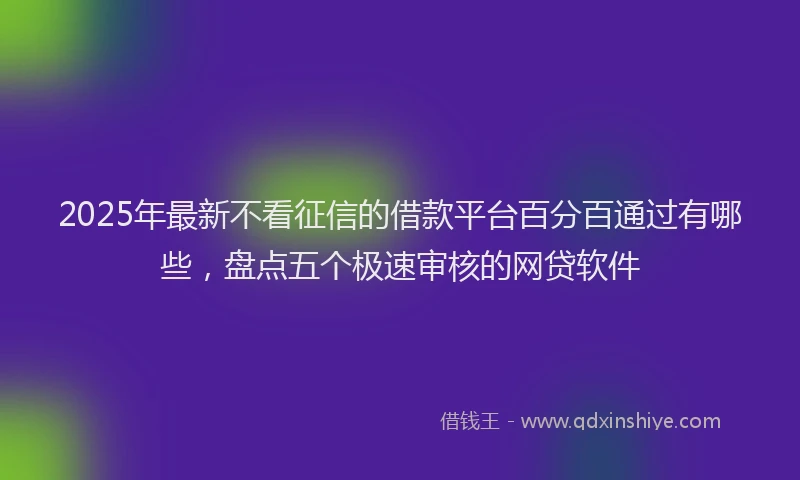 2025年最新不看征信的借款平台百分百通过有哪些，盘点五个极速审核的网贷软件