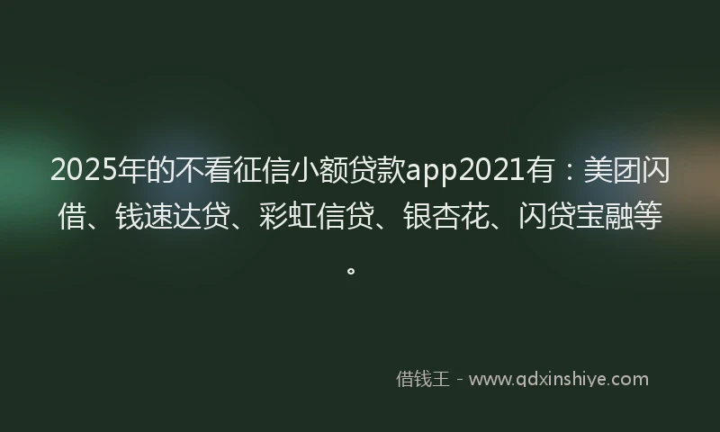 2025年的不看征信小额贷款app2021有：美团闪借、钱速达贷、彩虹信贷、银杏花、闪贷宝融等。