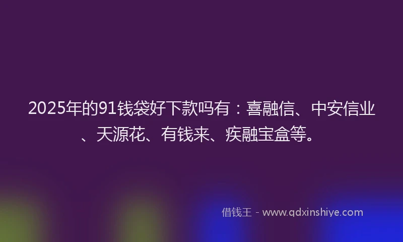 2025年的91钱袋好下款吗有：喜融信、中安信业、天源花、有钱来、疾融宝盒等。
