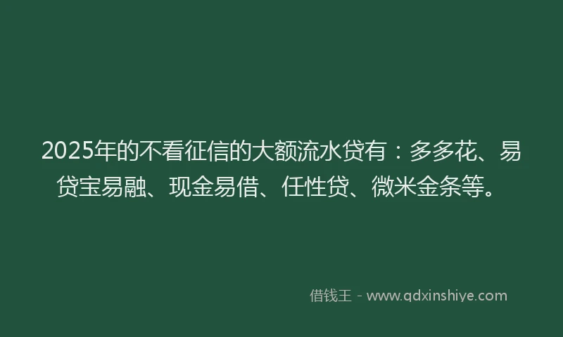 2025年的不看征信的大额流水贷有：多多花、易贷宝易融、现金易借、任性贷、微米金条等。