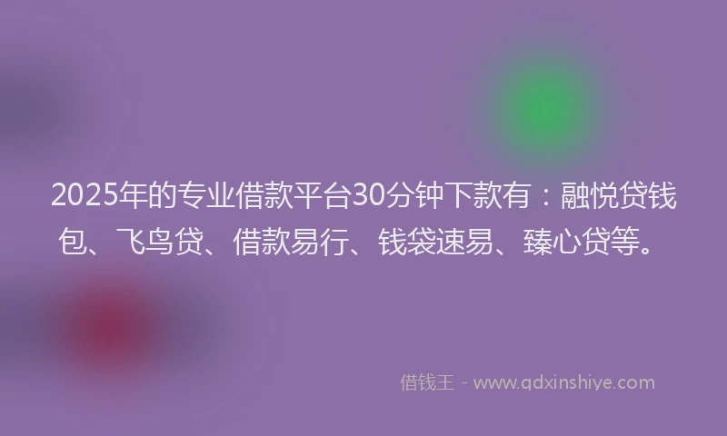 2025年的专业借款平台30分钟下款有：融悦贷钱包、飞鸟贷、借款易行、钱袋速易、臻心贷等。