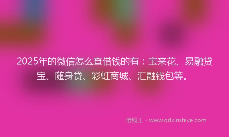 2025年的微信怎么查借钱的有：宝来花、易融贷宝、随身贷、彩虹商城、汇融钱包等。