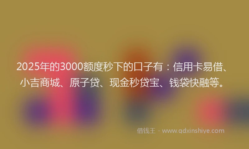 2025年的3000额度秒下的口子有：信用卡易借、小吉商城、原子贷、现金秒贷宝、钱袋快融等。