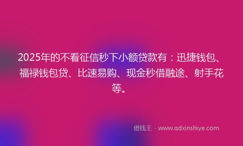 2025年的不看征信秒下小额贷款有：迅捷钱包、福禄钱包贷、比速易购、现金秒借融途、射手花等。