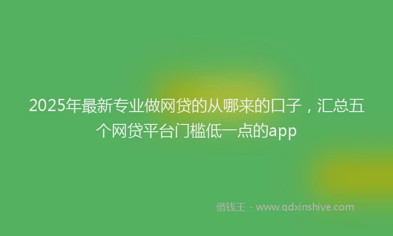 2025年最新专业做网贷的从哪来的口子，汇总五个网贷平台门槛低一点的app