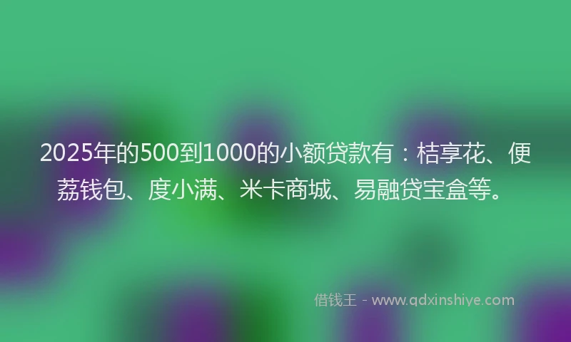2025年的500到1000的小额贷款有：桔享花、便荔钱包、度小满、米卡商城、易融贷宝盒等。
