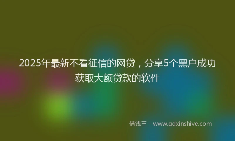 2025年最新不看征信的网贷，分享5个黑户成功获取大额贷款的软件