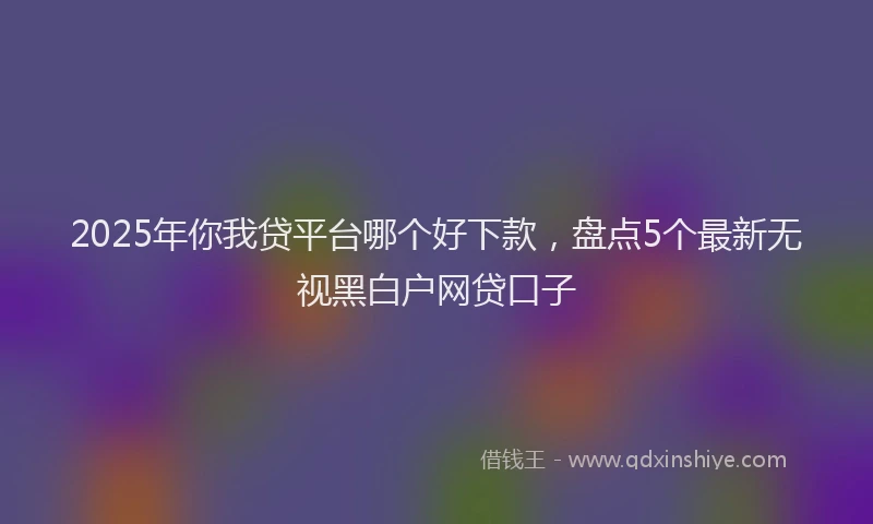 2025年你我贷平台哪个好下款，盘点5个最新无视黑白户网贷口子