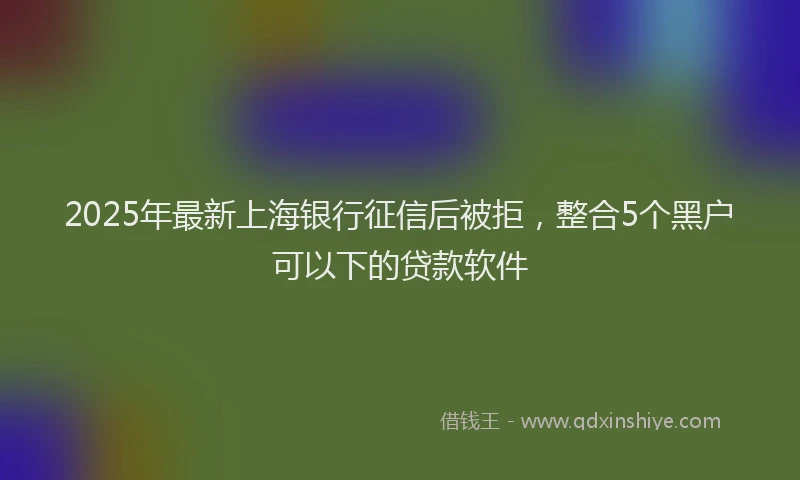 2025年最新上海银行征信后被拒，整合5个黑户可以下的贷款软件