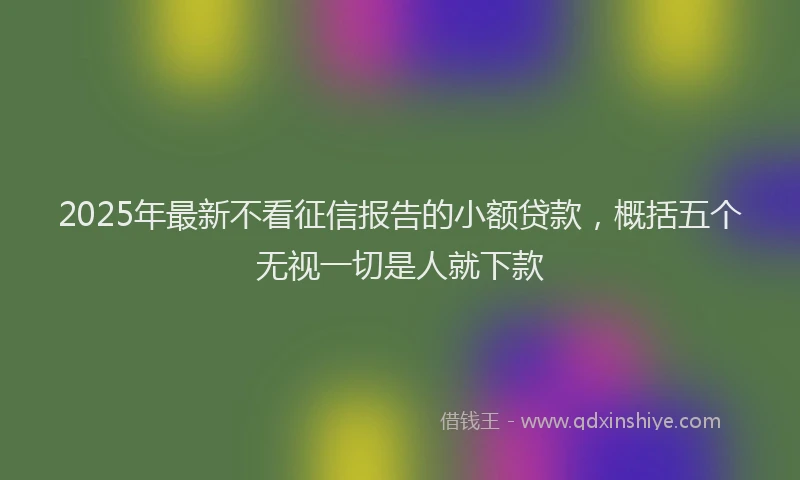 2025年最新不看征信报告的小额贷款，概括五个无视一切是人就下款