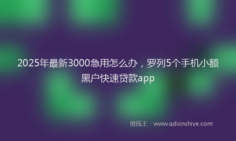 2025年最新3000急用怎么办，罗列5个手机小额黑户快速贷款app