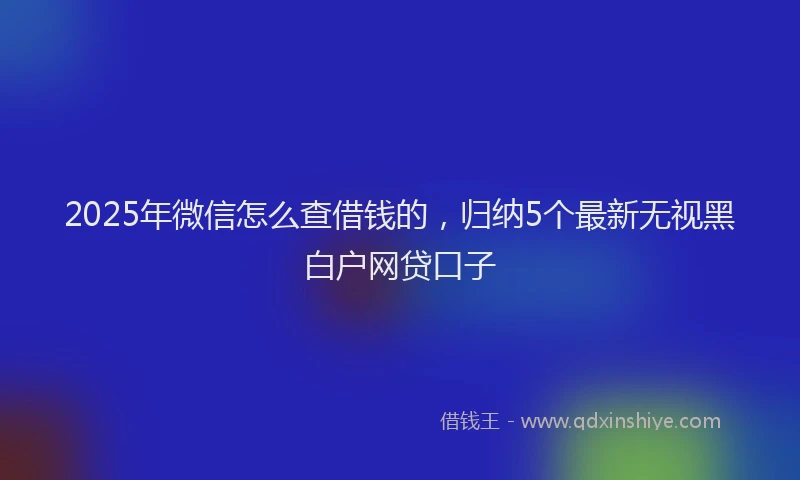 2025年微信怎么查借钱的，归纳5个最新无视黑白户网贷口子