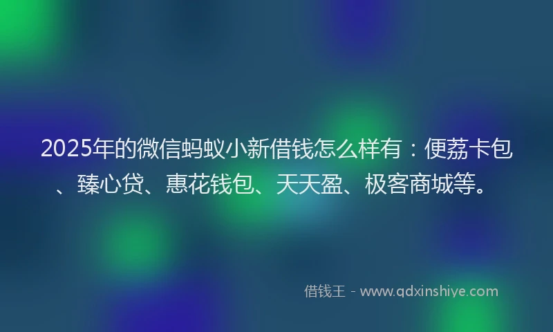 2025年的微信蚂蚁小新借钱怎么样有：便荔卡包、臻心贷、惠花钱包、天天盈、极客商城等。