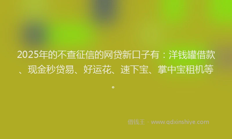 2025年的不查征信的网贷新口子有：洋钱罐借款、现金秒贷易、好运花、速下宝、掌中宝租机等。