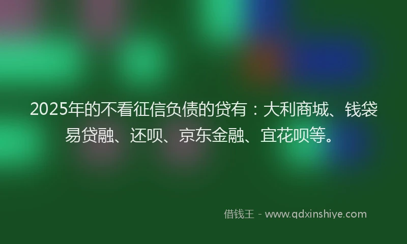 2025年的不看征信负债的贷有：大利商城、钱袋易贷融、还呗、京东金融、宜花呗等。