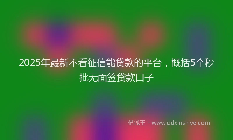 2025年最新不看征信能贷款的平台，概括5个秒批无面签贷款口子