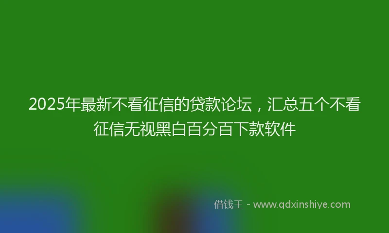 2025年最新不看征信的贷款论坛，汇总五个不看征信无视黑白百分百下款软件