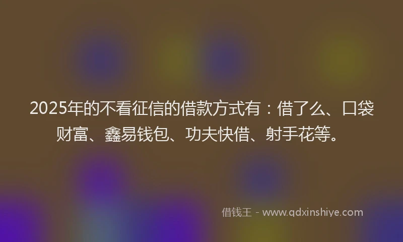 2025年的不看征信的借款方式有：借了么、口袋财富、鑫易钱包、功夫快借、射手花等。