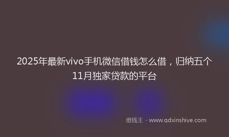2025年最新vivo手机微信借钱怎么借，归纳五个11月独家贷款的平台