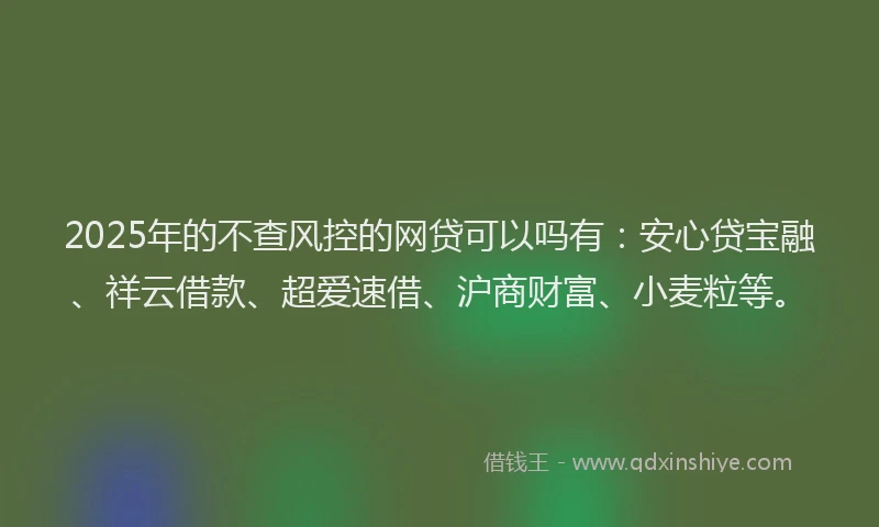 2025年的不查风控的网贷可以吗有：安心贷宝融、祥云借款、超爱速借、沪商财富、小麦粒等。