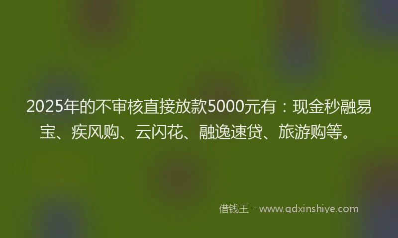 2025年的不审核直接放款5000元有：现金秒融易宝、疾风购、云闪花、融逸速贷、旅游购等。