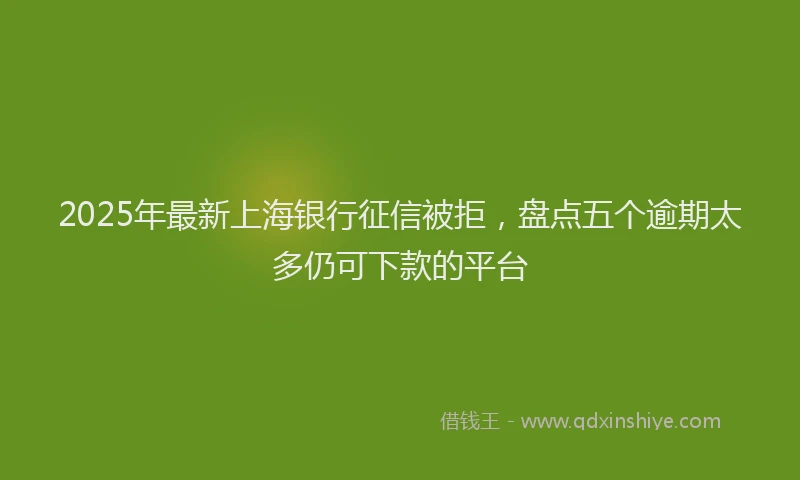 2025年最新上海银行征信被拒，盘点五个逾期太多仍可下款的平台