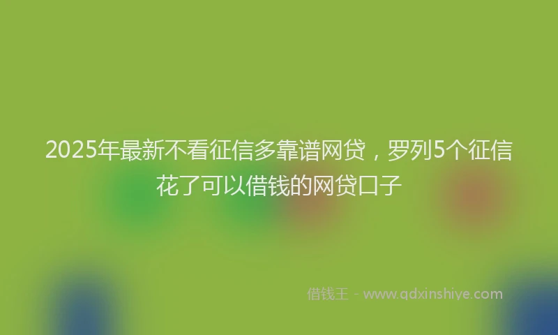 2025年最新不看征信多靠谱网贷，罗列5个征信花了可以借钱的网贷口子