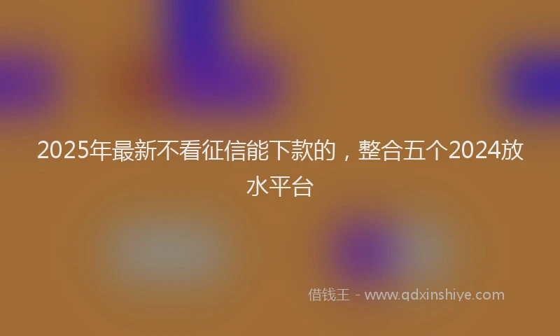 2025年最新不看征信能下款的，整合五个2024放水平台