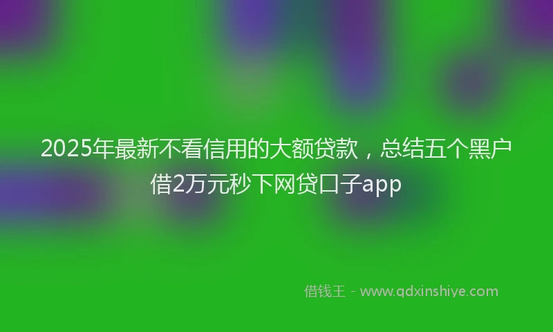 2025年最新不看信用的大额贷款，总结五个黑户借2万元秒下网贷口子app
